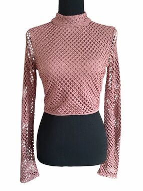Mudd Pink/Mauve Mesh Long-Sleeve Crop Top